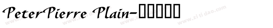 PeterPierre Plain字体转换